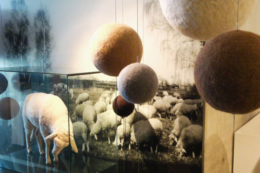 Ausstellungsgestaltung Museum Erding