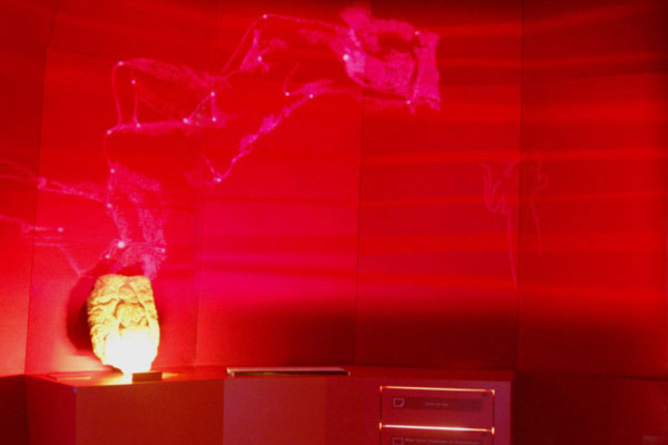 Ausstellungsgestaltung Schloss Monrepos