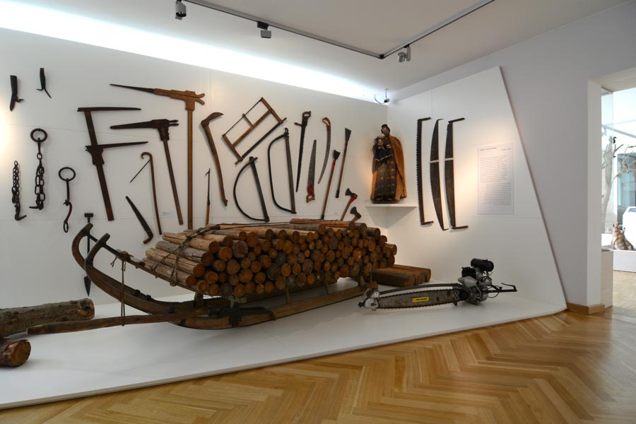 Ausstellungsgestaltung Waldmuseum Zwiesel